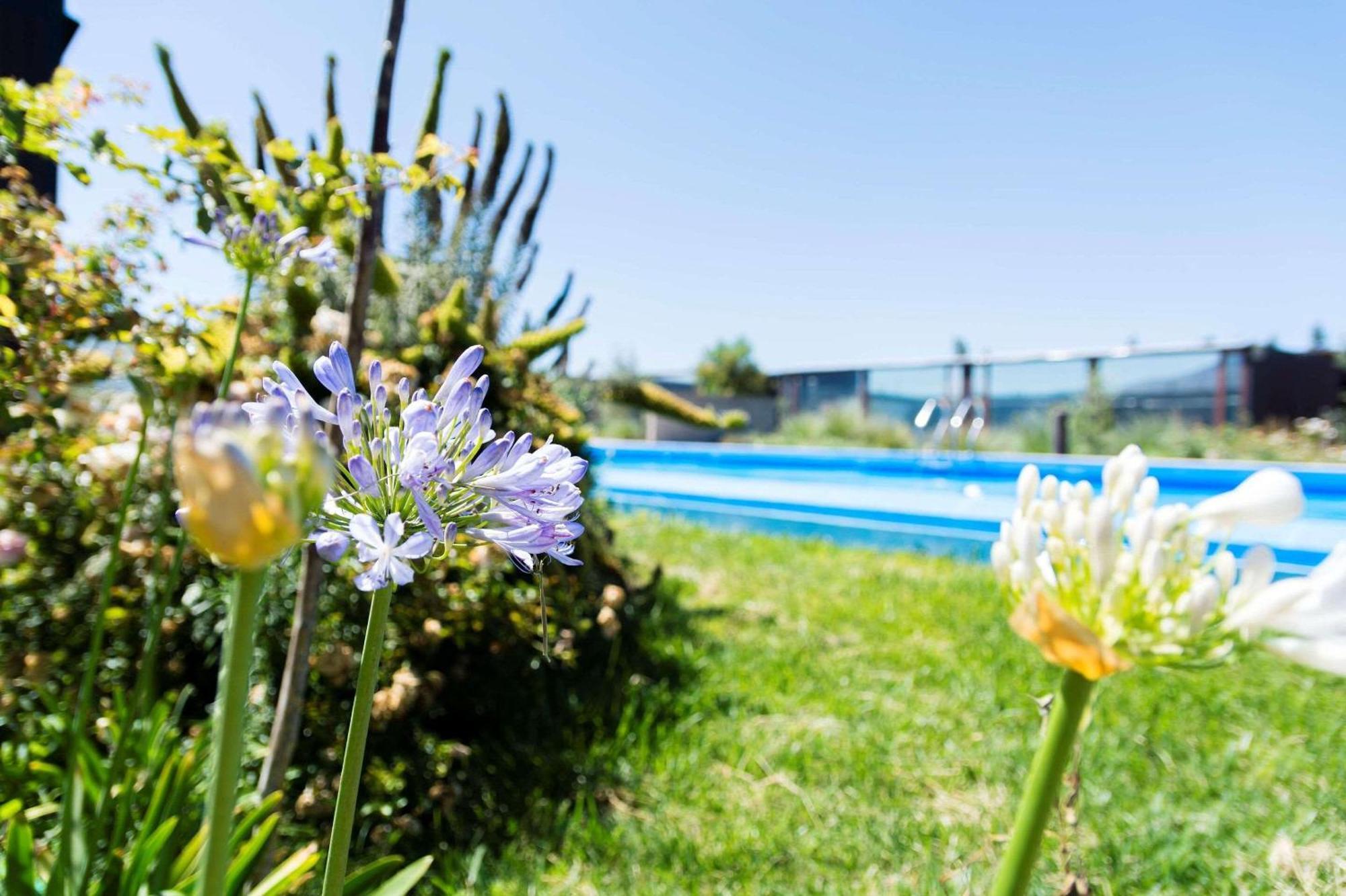 Park Inn By Radisson Los Olivos De Vallenar Dış mekan fotoğraf